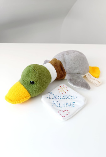 Peluche doudou canard oiseau - peluche/doudou, canard/oiseau