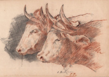 Dessin au crayon et sanguine