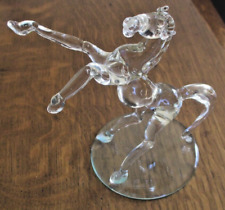 Superbe cheval cabré en