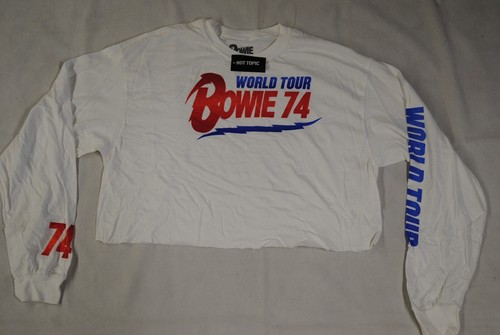 David bowie world tour - david,