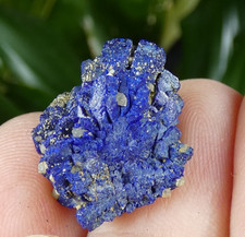 Cristaux Azurite Chessylite intense Chessy les Mines 1.8cm France collection
