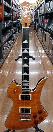 Rich mockingbird special x - b.c.rich,