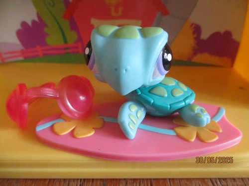 Petshop tortue mer 1325 - tortue,
