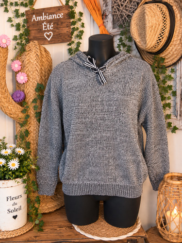 Pull capuche couleur gris - couleur,
