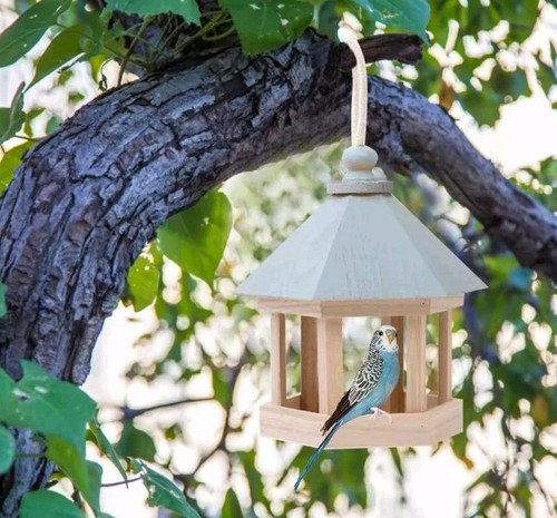 Mangeoire oiseaux - mangeoire,