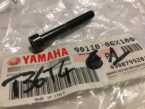 Yamaha 90110 06x100 - vis, carter