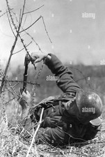 Cisaille allemande WWII Coupe câble Pince barbelés PanzerGrenadiere Wehrmacht 44