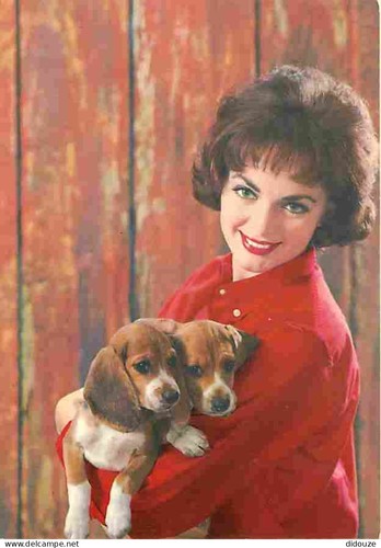 Carte postale animaux - carte,