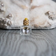 3 cm de haut, miniature de