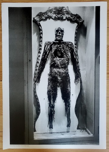 Helmut newton genuine sumo - newton,