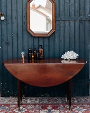 Alix, le grand corail blanc