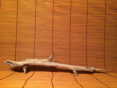 Beautiful driftwood - beautiful, 17”