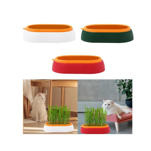 Plateau plantation herbe - plateau,