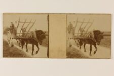Charrette à cheval Snapshot Photo c1900 Petit format Stereo Vintage PL57An141