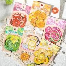 20Pcs Fruits Slices