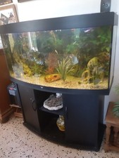 vendre aquarium 300l avec meble et accessoires
