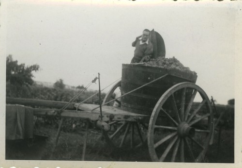 Photo ancienne vintage - ancienne,