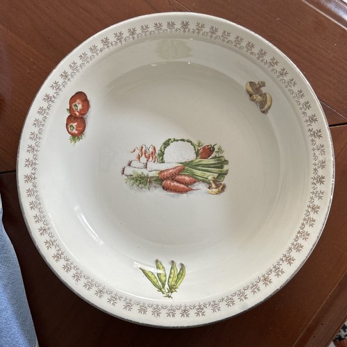 Plat digoin sarreguemines - digoin,
