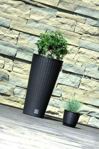 Pot fleurs rotin - fleurs,