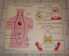 Affiche Scolaire vintage An 50's Rossignol école --> N° 17-18  système sympathiq