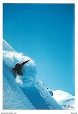 Sport - Planche à Voile - CPM