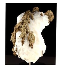 Pierres et Minéraux. Argent natif. 810.5 ct. Imiter Mine, Drâa-Tafilalet, Maroc.