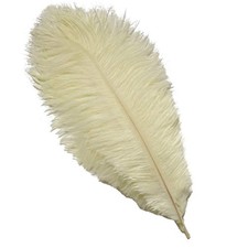 Lot de 10 plumes d’autruche
