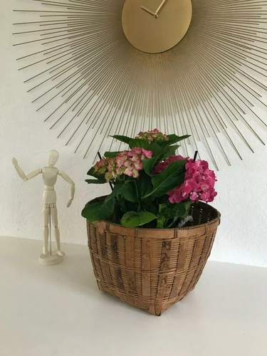 Ancien cache pot - pot, en