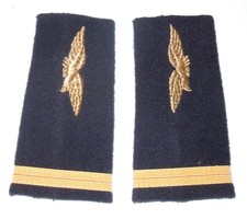 PAIRE DE FOURREAUX D'EPAULES -