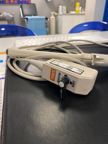 Sonde echographie - sonde, d'echographie