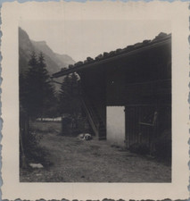 Suisse, Blausee, Chalet et chien, Tirage vintage, ca.1950  Tirage argentique 