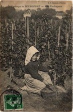 CPA Vendanges en Bourgogne Une