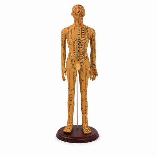 Mannequin acupuncture avec - d'acupuncture,