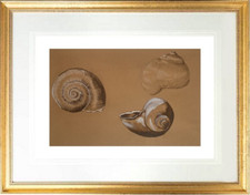 André DUFFOUR (1926-2016)