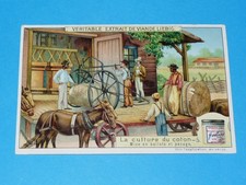 CHROMO 1909 LIEBIG SERIE 952