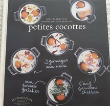 LIVRE RECETTES PETITES