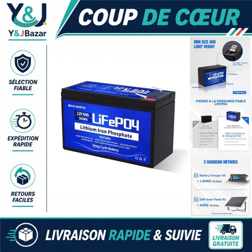 Batterie lithium lifepo4 v - batterie, 12