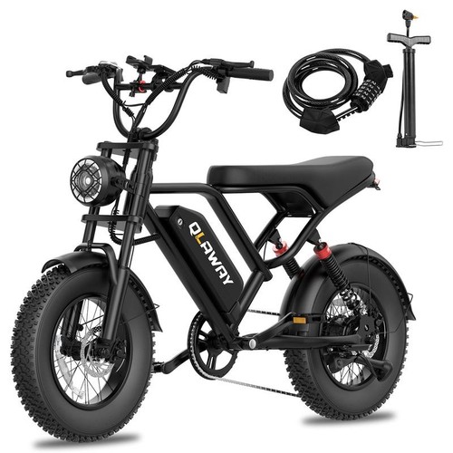 Fat tire electric - 16'',