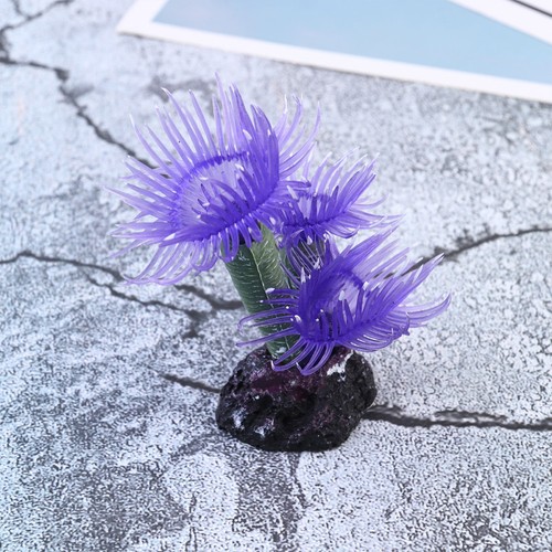 Aquarium accessoires coralline - aquarium,