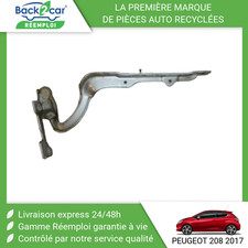 🏆 COMPAS GAUCHE CAPOT