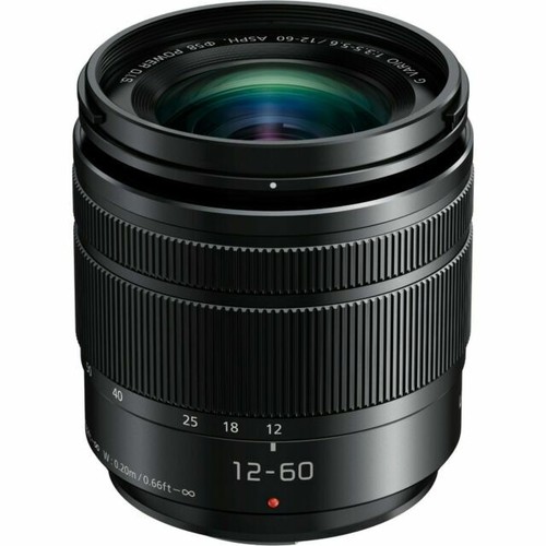 Panasonic lumix vario - g,