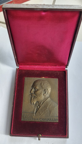 Médaille bronze docteur - bronze,