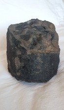 FOSSILE - MORCEAU DE BOIS