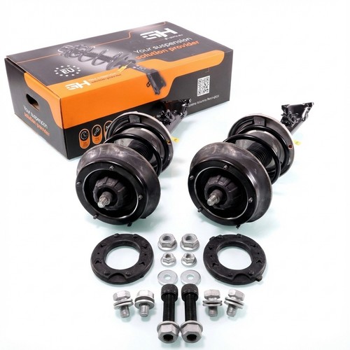 Jambe suspension - 2x,