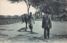 Singapore - Carriage horse - Publ. unknown 17