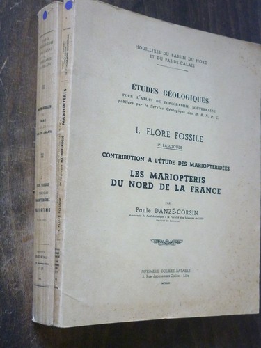 Geologie danzé corsin paule - , danzé-corsin