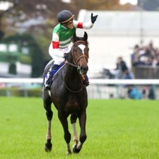 Méthode de TURF:  Maurice ROUSSET - LA SELECTION EN OR DE BANCO (Courses, PMU)