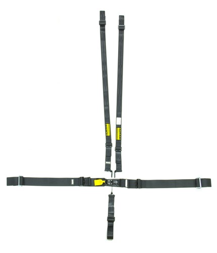 Schroth racing 5pt harness - racing,