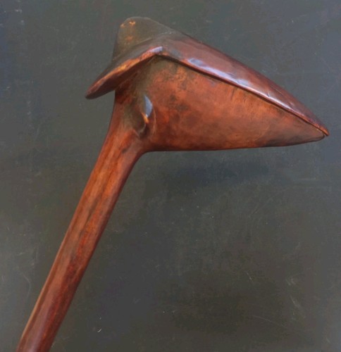 Bec oiseau kanak nouvelle - bec,