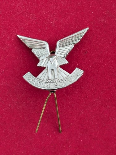 Insigne beret scout - insigne,